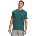 verde_5828