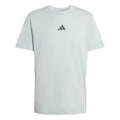 Climacool Identitiy Graphic Camiseta de manga corta Hombres-salvia