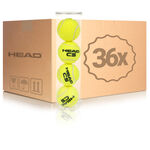 Pelotas De Tenis HEAD Cs 36er Box