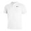 Court Dri-Fit Blade Solid Polo