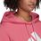 Big Logo FL Plus Hoody