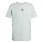 adidas adidas Climacool Identitiy Graphic Camiseta de manga corta Hombres-salvia