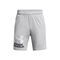 Ua Tech Logo Shorts