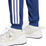 3Stripes Training Pant