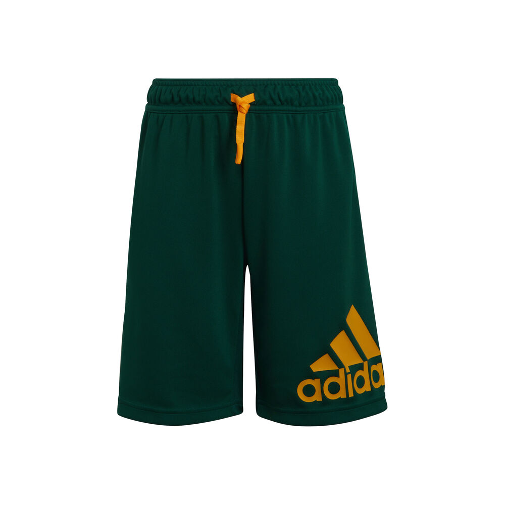 Big Logo Shorts Chicos - Verde, Naranja