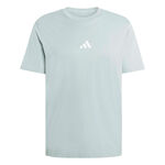 Ropa adidas adidas Essentials Camiseta de manga corta Hombres-salvia